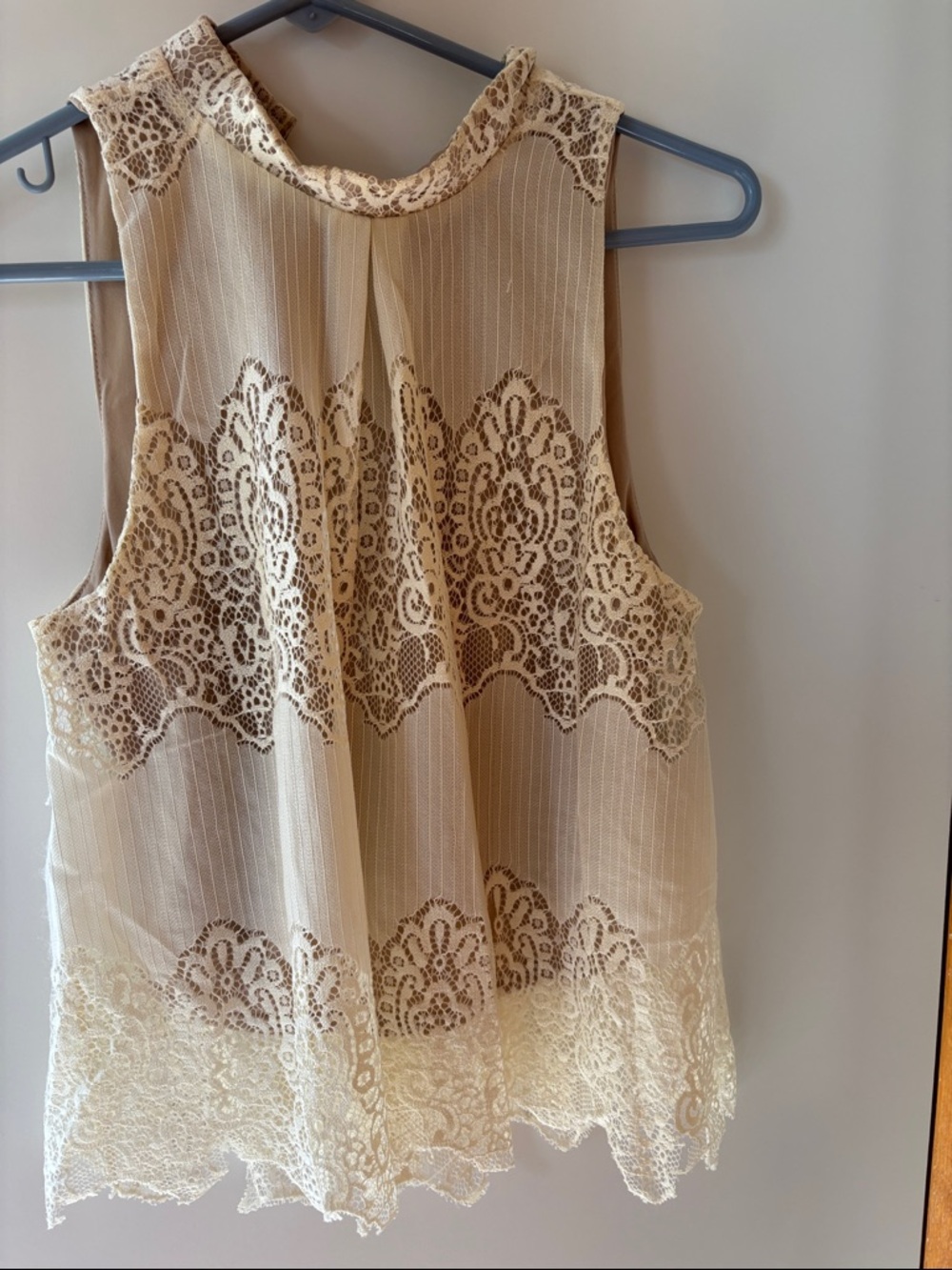 Delicate Lace Overlay Sleeveless Top in Cream